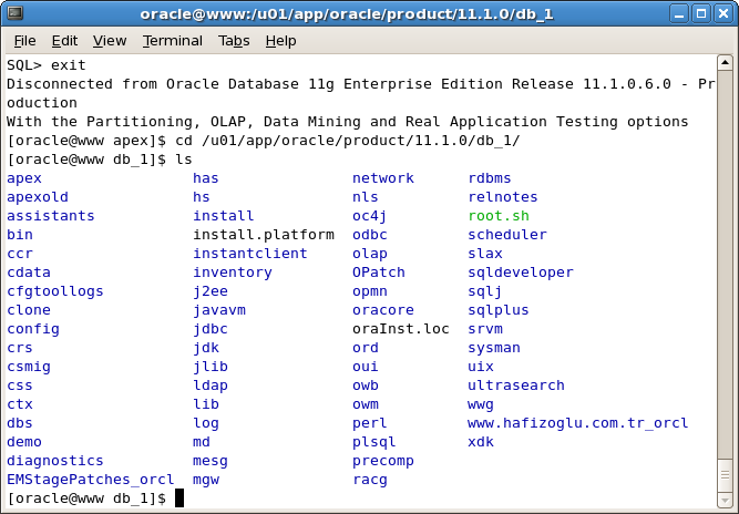 Screenshot-oracle@www:-u01-app-oracle-product-11.1.0-db_1